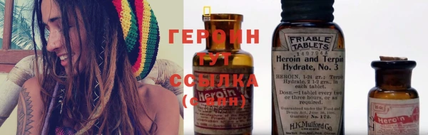 шишки Лабытнанги