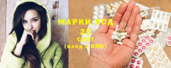 шишки Лабытнанги