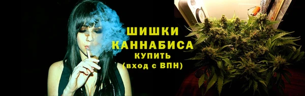 ECSTASY Ладушкин