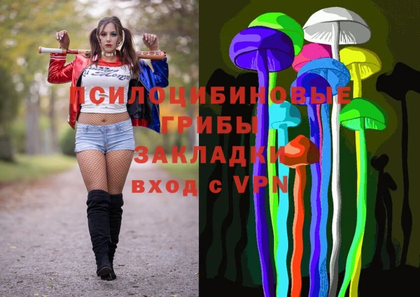 ECSTASY Ладушкин