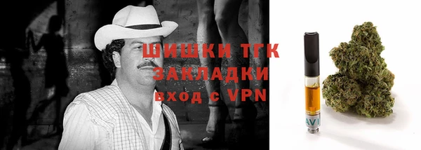прущие грибы Лагань