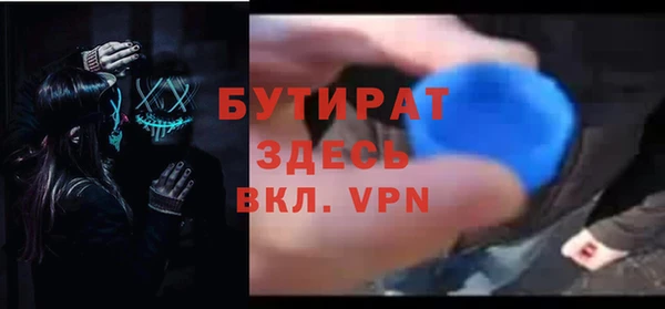 шишки Лабытнанги