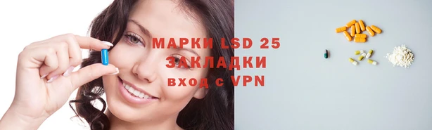 шишки Лабытнанги