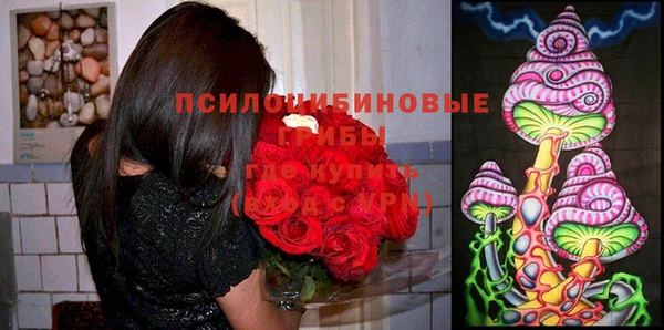 шишки Лабытнанги