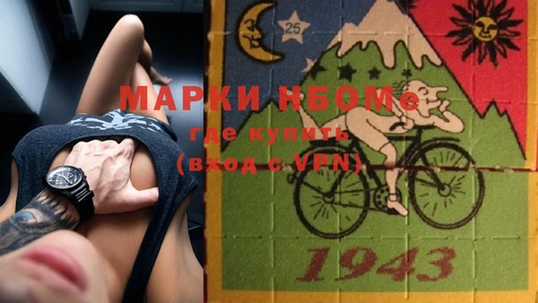 шишки Лабытнанги