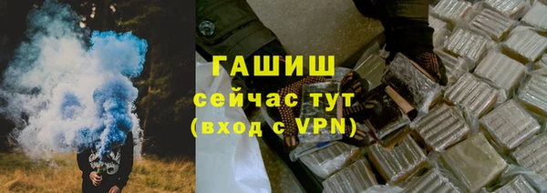 шишки Лабытнанги