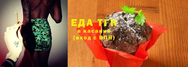 шишки Лабытнанги