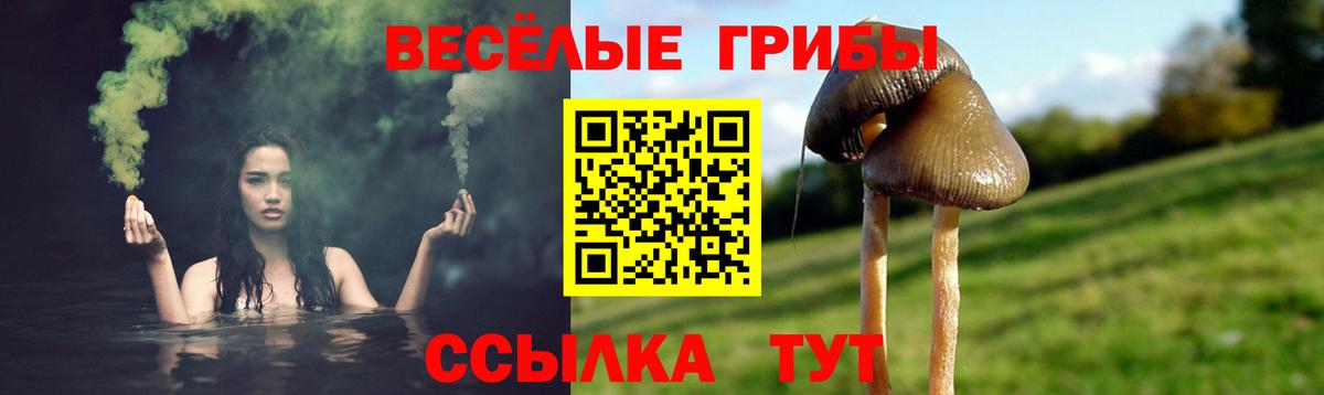 Нарьян-Мар  Галлюциногенные грибы мухоморы  Вход с VPN 